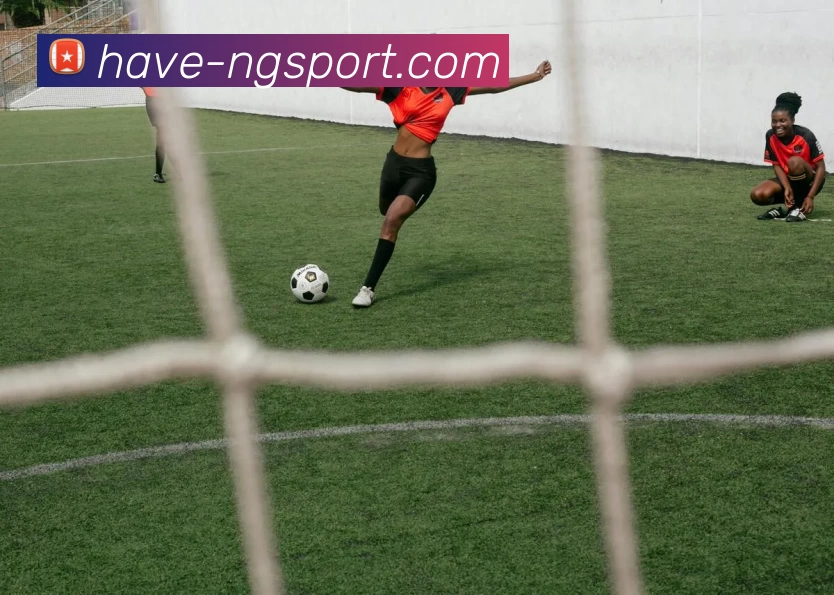 NG体育品牌故事